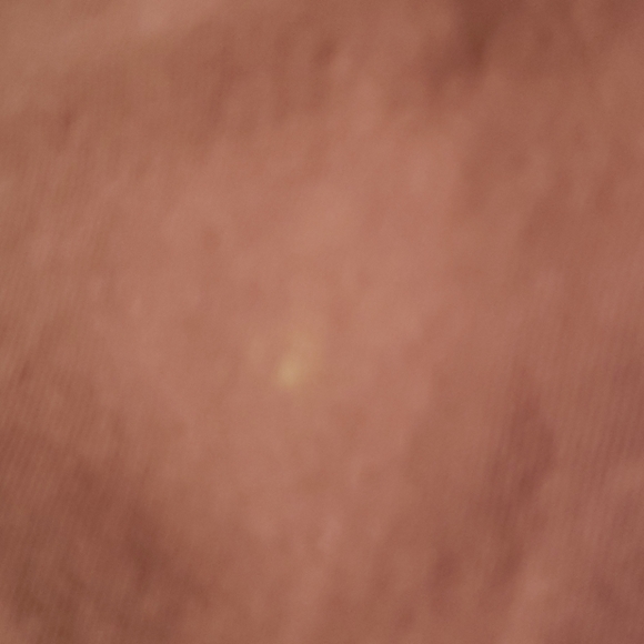 Brandy Melville Helen top🦋 - Picture 6 of 6